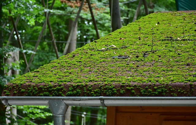 Asphalt Roofing