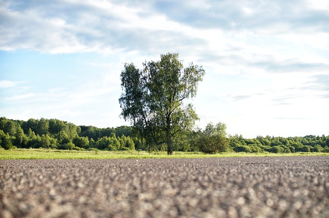 Asphalt Roofing