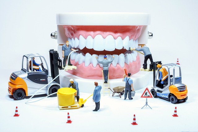 Dentist Maumee Ohio,Dentist,General dentistry 
