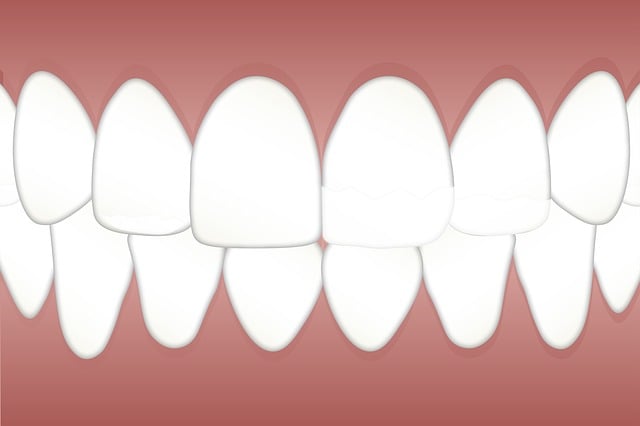 Dentist Maumee Ohio,Dentist,General dentistry 