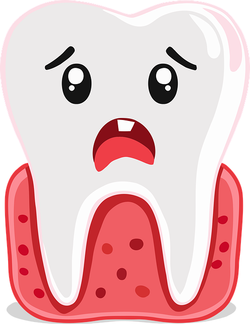 Dentist Maumee Ohio,Dentist,General dentistry 
