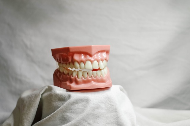 Dentist Northwood Ohio,Dentist,Restorative Dental Services