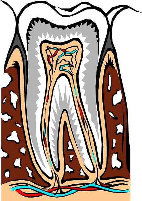 Dentist Northwood Ohio,Dentist,Restorative Dental Services