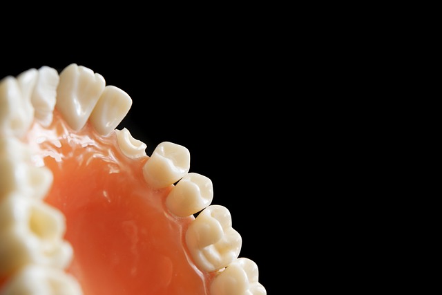 Dentist Northwood Ohio,Dentist,Restorative Dental Services