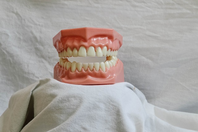 Dentist Toledo Ohio,Dentist,Dentistry