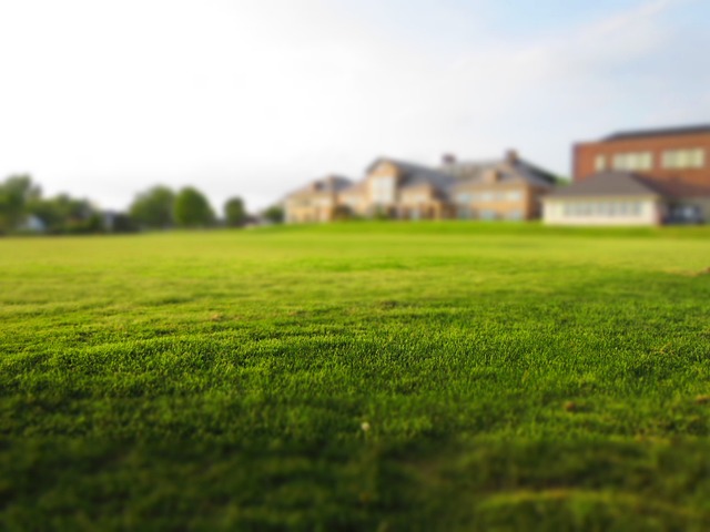 estate planning attorney sacramento california,estate planning attorney