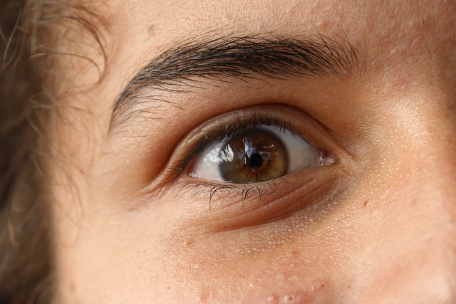 Eyebrow Microblading Sylvania Ohio,Eyebrow Microblading