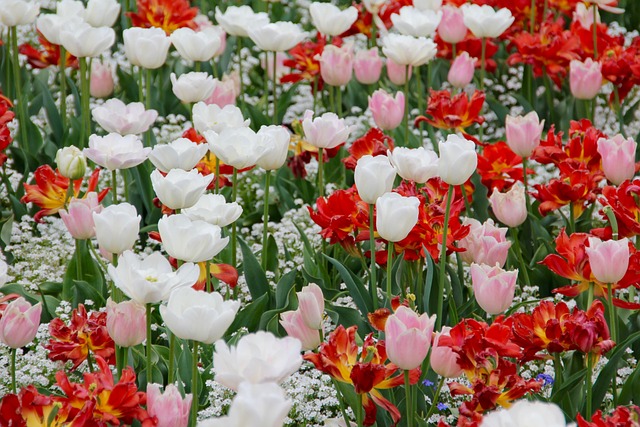 Holland Ohio parks and recreation,Holland Ohio local attractions,Things to do in Holland Ohio