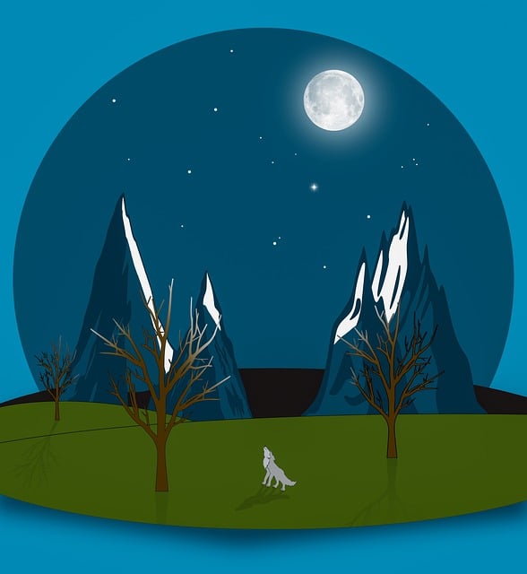 New Jersey Graphic Designer,Graphic Designer,Graphic Design Services