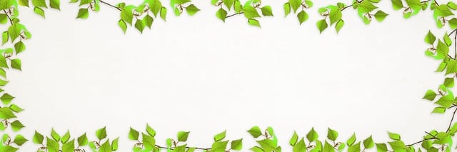 New Jersey Website Design,Website Design,Website Designer