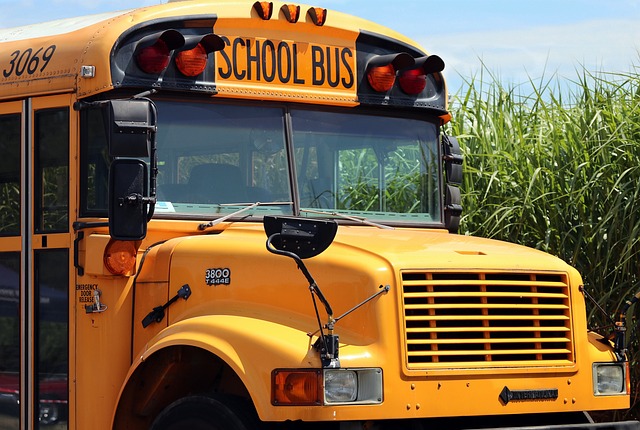 party bus rental downtown toledo ohio,party bus rental,affordable party bus for rental