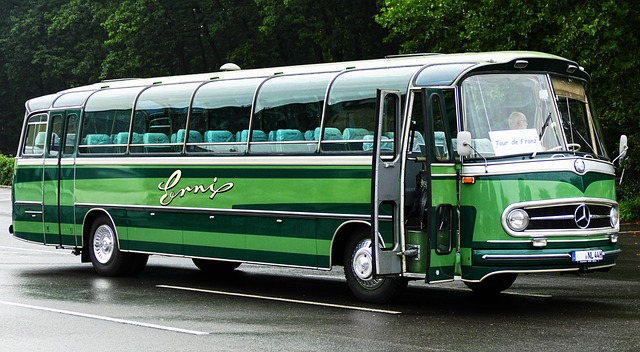 toledo bar hop bus,bar hop bus,party bus for bar hopping