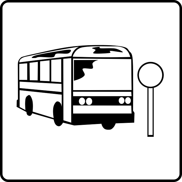 toledo bar hop bus,bar hop bus,party bus for bar hopping
