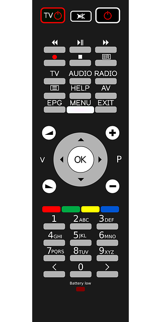 toledo remote car starters,remote car starters