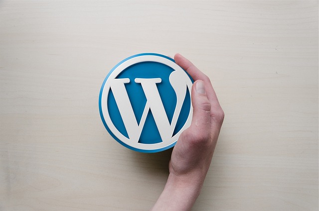 Toledo WordPress Website Design,Wordpress Website Design,Wordpress Website Designer