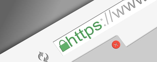 Toledo WordPress Website Design,Wordpress Website Design,Wordpress Website Designer