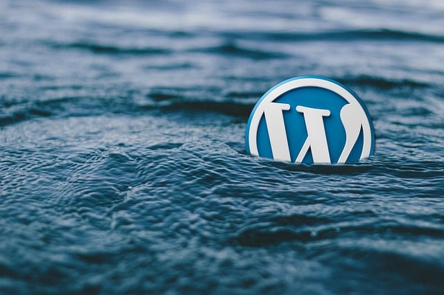 Toledo WordPress Website Design,Wordpress Website Design,Wordpress Website Designer