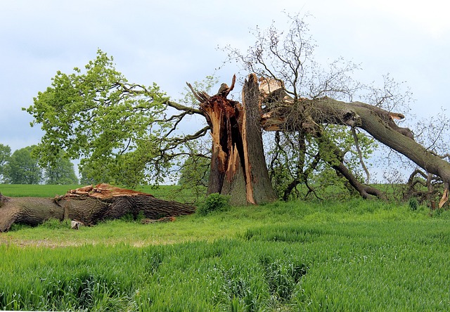 water damage restoration service riverside new jersey,water damage restoration service