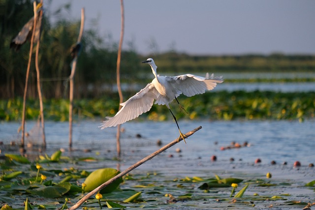 Delta Ohio parks and nature trails,Things to do in Delta Ohio,Delta Ohio family-friendly attractions