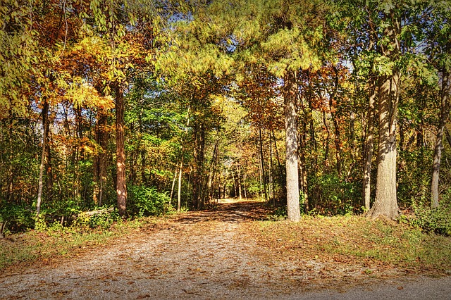 Delta Ohio parks and nature trails,Things to do in Delta Ohio,Delta Ohio family-friendly attractions