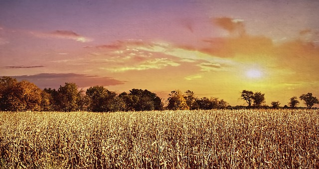 Delta Ohio parks and nature trails,Things to do in Delta Ohio,Delta Ohio family-friendly attractions