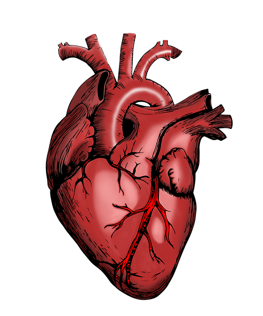 Medical Scrib Services Toledo Ohio, Medical Scrib Services, Medical Scribing