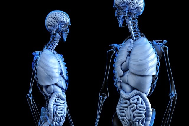 Medical Scrib Services Toledo Ohio, Medical Scrib Services, Medical Scribing