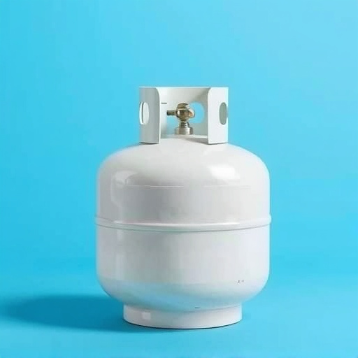 propane cylinder refills for bbq grills camden new jersey,propane cylinder refill benefits for bbq grills,affordable propane refills for grills