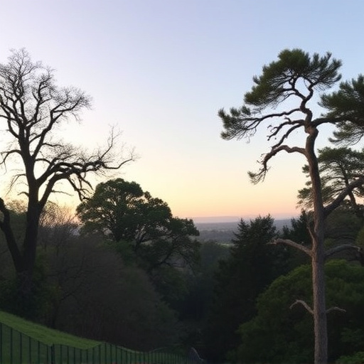 Things to do in Palo Alto California,Palo Alto California attractions,Palo Alto California parks and nature reserves