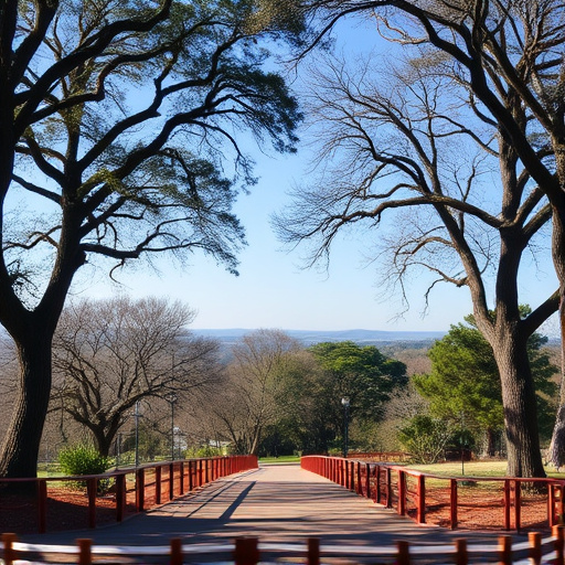 Things to do in Palo Alto California,Palo Alto California attractions,Palo Alto California parks and nature reserves
