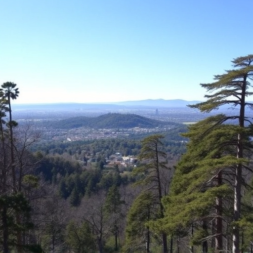 Things to do in Palo Alto California,Palo Alto California attractions,Palo Alto California parks and nature reserves