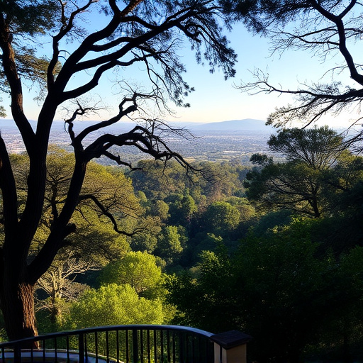 Things to do in Palo Alto California,Palo Alto California attractions,Palo Alto California parks and nature reserves