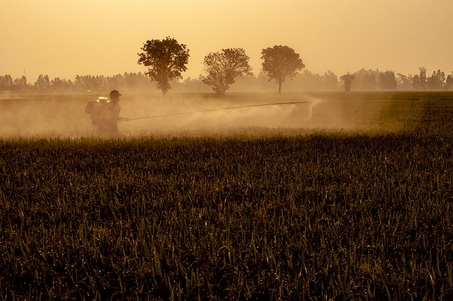 Optimizing Home Lawns: A Comprehensive Guide to Irrigation System Installation and Maintenance