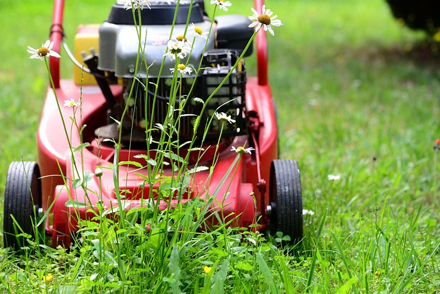 Optimize Your Lawn: The Ultimate Guide to Mulching and Edging for Soil Health and Weed Control