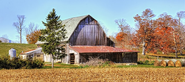 Historic Charm and Natural Wonders: Exploring Sylvania Ohio’s Homes and Trails