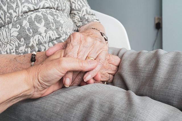 Enhancing Family Caregiving: The Role of Elderly Companion Services