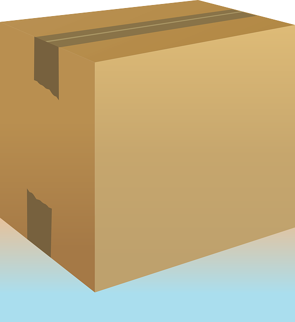 Sustainable Shield: Custom Cardboard Packaging in Pharmaceutical Safety and Sustainability