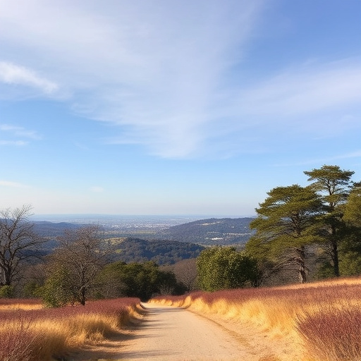 Unveiling Palo Alto’s Parks: Hiking Trails for Every Adventurer